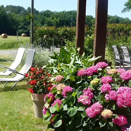 La Ferme De La Foret * Beauronne