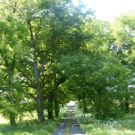 La Ferme De La Foret * Beauronne